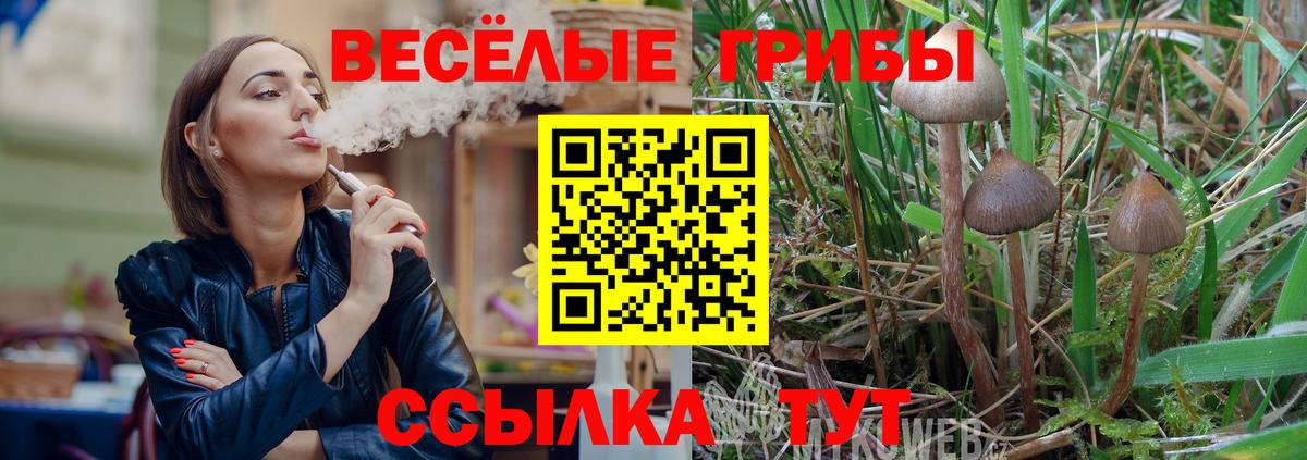 Галлюциногенные грибы прущие грибы Великие Луки